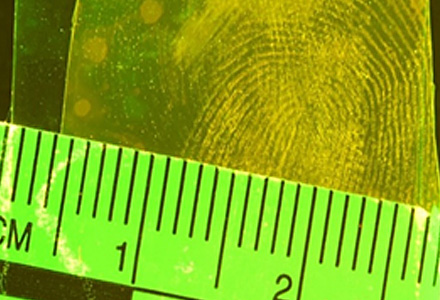fingerprint on plastic
